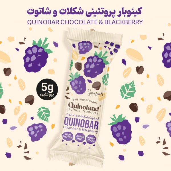 میان وعده سالم کینوبار پروتئینی شکلات و شاتوت