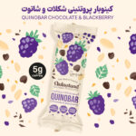 میان وعده سالم کینوبار پروتئینی شکلات و شاتوت