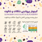 میان وعده سالم کینوبار پروتئینی شکلات و شاتوت